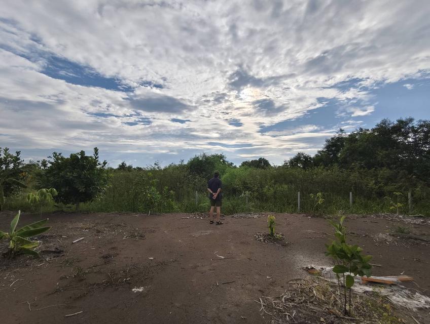 😮แม่เจ้า..เกือบไร่ครึ่งไม่ถึงล้าน ที่ดินโฉนดติดคลอง14 เจ้าของขายเอง!!! 9