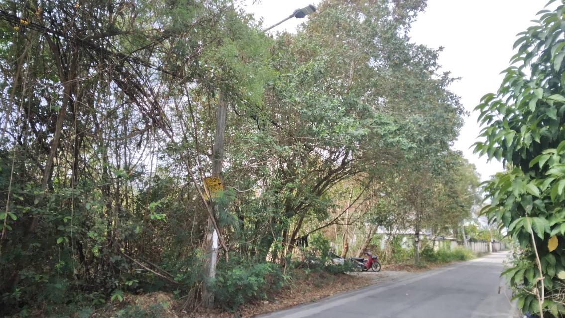 ขายที่ดินเปล่า 387 ตรว. ไอยรา17 3