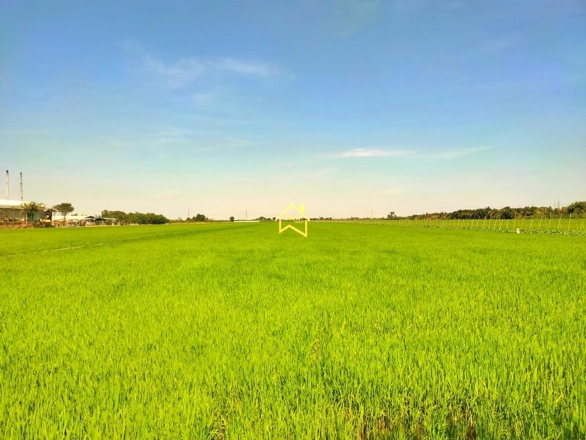 ขาย ที่ดิน 22 ไร่ 3 งาน 92.8 ตารางวา อ.ไทรน้อย จ.นนทบุรี ราคาถูกกว่าราคาตลาดมาก 2