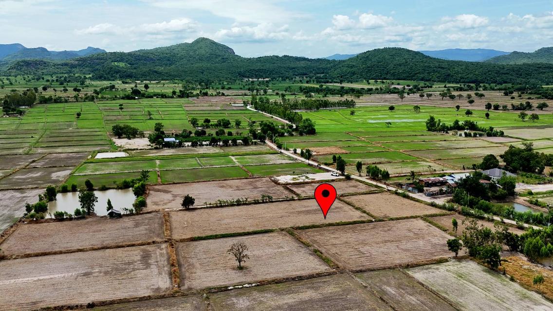 ที่ดิน สระโบสต์ จ. ลพบุรี ไร่ละ 165,000 บาท 5