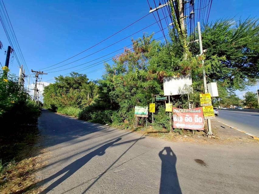 Vายด่วนที่ดินคลองแปด 100 ตารางวา ติดถนนคอนกรีตสาธารณะ ถมแล้ว ซอย คุณสัมฤทธิ์ อ.ธัญบุรี จ.ปทุมธานี 6