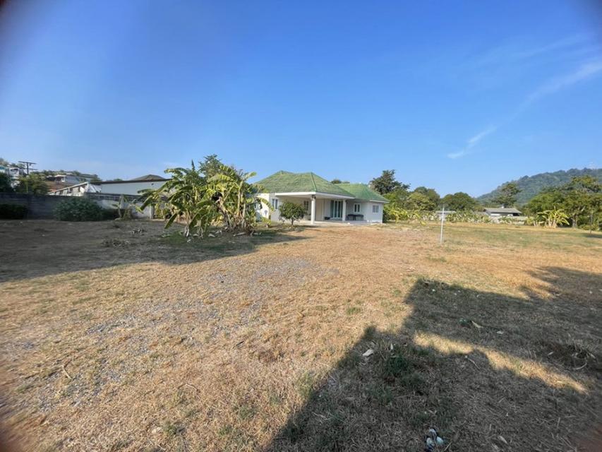 ขายที่ดิน 2.8 ไร่ ใจกลางเมืองภูเก็ต ติดถนนเยาวราช | ตรงข้าม รพ.กรุงเทพภูเก็ต | เหมาะพัฒนาโครงการอสังหา