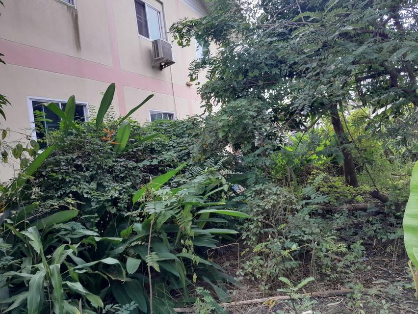 บ้านเดี่ยว สร้างโดยเจ้าของเก่า 3