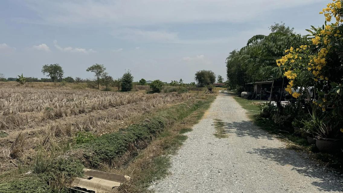 ขาย/เช่าที่ดินฉะเชิงเทรา 45 ไร่ 4