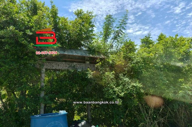 ที่ดิน เนื้อที่ 150 ตร.ว. คลอง 22 ศีรษะกระบือ ใกล้วัดราษฏร์ศรัทธาธรรม ถนนลำลูกกา ตำบลศีรษะกระบือ อำเภอองครักษ์ นครนายก 10