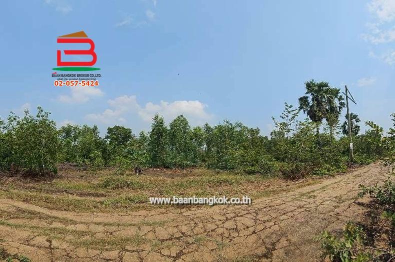 ที่ดินเปล่า หมู่บ้าน อริสรา ลาดบัวหลวง เนื้อที่ 1-0-35 ไร่ ถนนบางบัวทอง-สุพรรณบุรี อ.ลาดบัวหลวง จ.อยุธยา 8