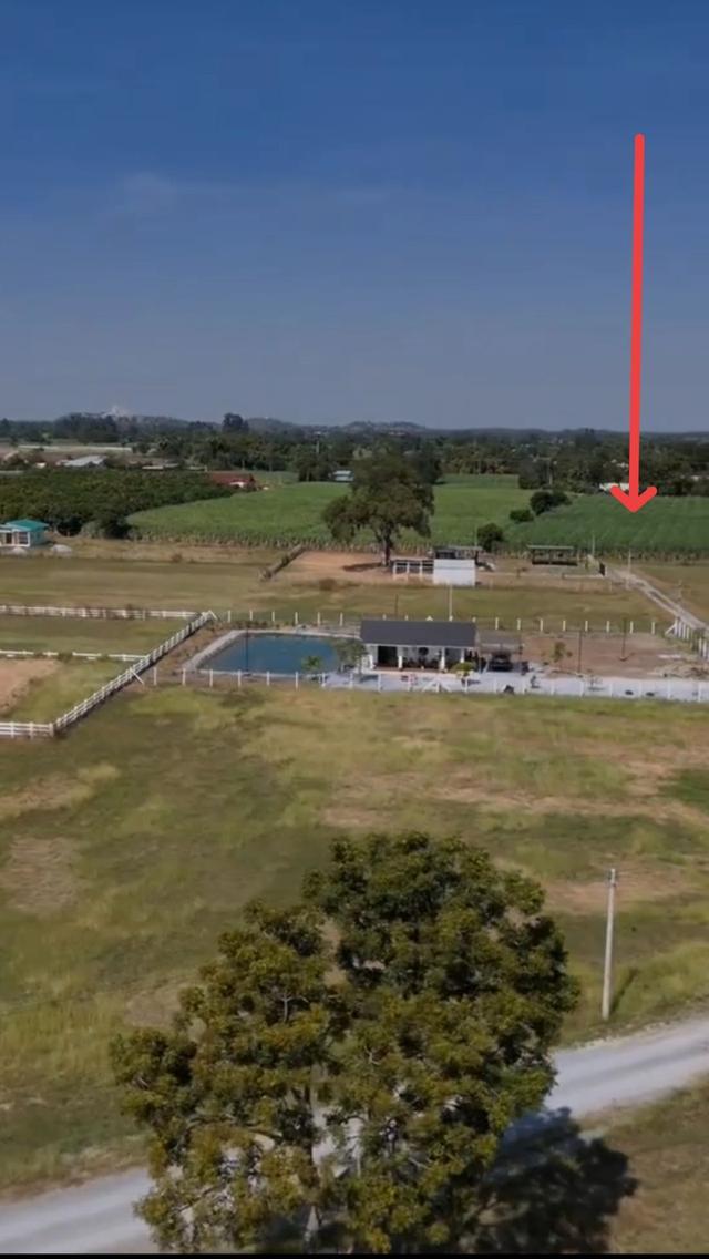 ขายที่ดินอู่ทองทำเลวิวสวน 2