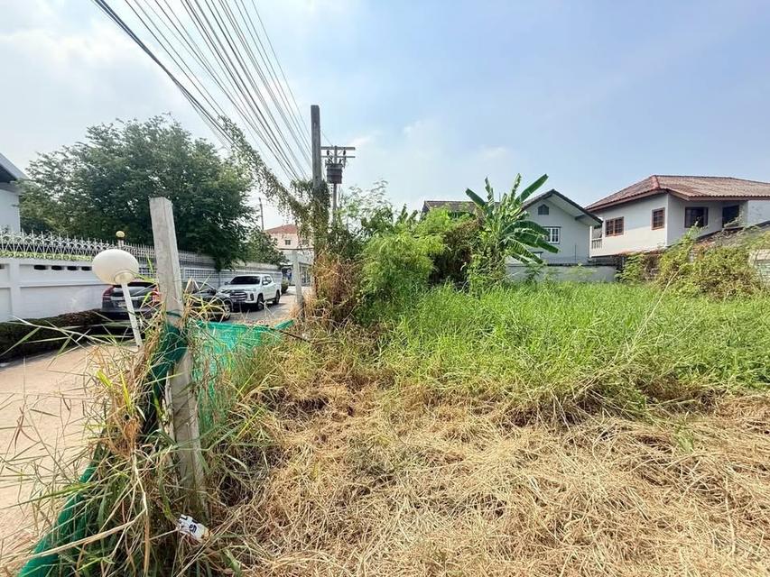 Vายทีดิน 103 ตารางวา ติดถนนคอนกริตสาธารณะ ซอย ติวานนท์ 27 เมืองนนทบุรี รูปย่อยที่ 3