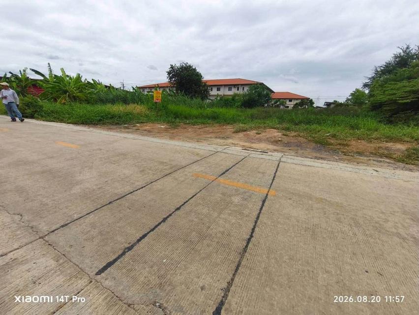ขายด่วนที่ดิน 215 ตรว ติดถนนสาธารณะ 2 ด้าน ซ.ไอยรา 26,27 คลองหลวง ปทุมธานี 2