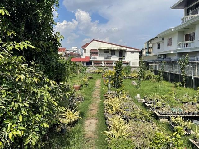 ขายที่ดิน 209 ตร.ว. สุขุมวิท77 อ่อนนุช 14 พื้นที่สีส้ม ซอยกว้าง เหมาะสร้างบ้าน สำนักงาน หรือธุรกิจ คาเฟ่ ร้านอาหาร สปา ใ 1