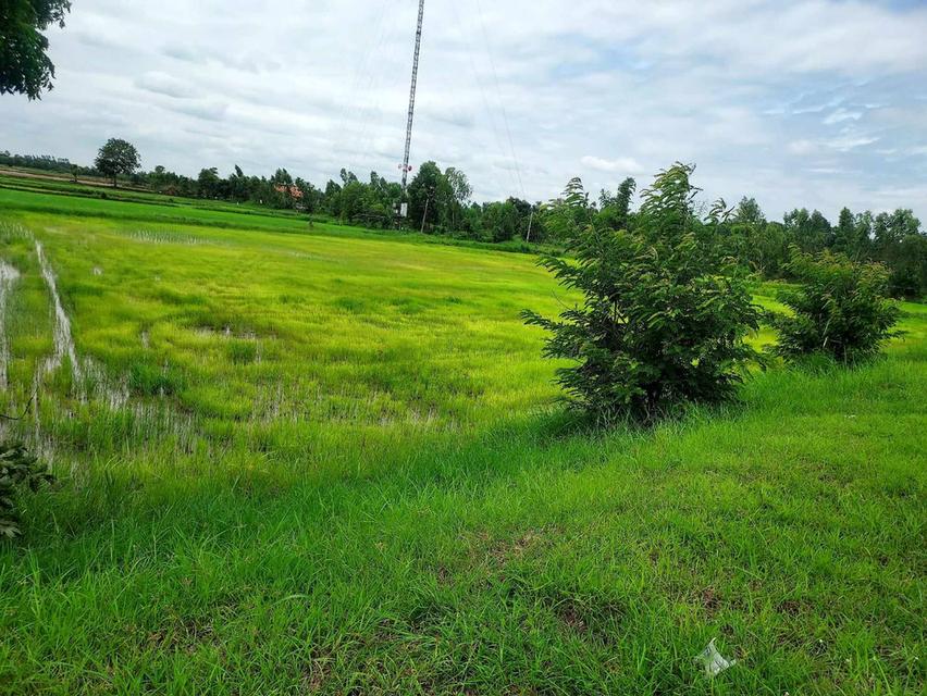 ขายที่ดิน