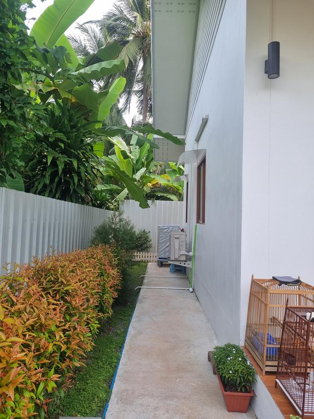 ประกาศขายบ้านสวนมินิมอล 15