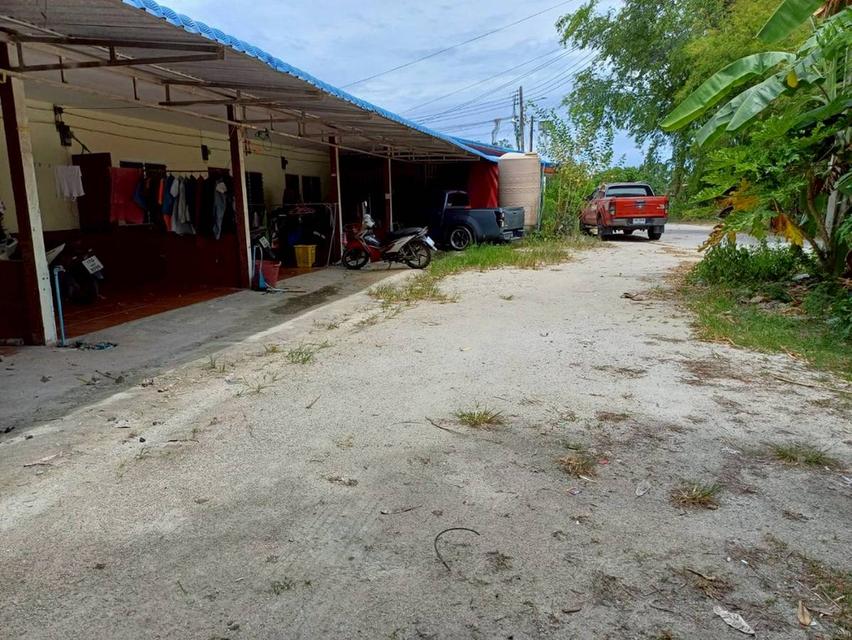 ขายที่ดินพร้อมบ้านและห้องแถว 5