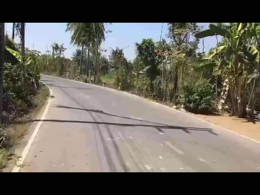 ที่ดินผ่อนกับเจ้าของได้ที่ดินแปลงเล็กๆเหมาะทำบ้านสวนเกษตร ติดถนนอยู่ในชุมชนมีน้ำมีไฟฟ้ามีเพื่อนบ้าน เดินทางสะดวก อยู่บางกระทุ่ม พิษณุโลก เจ้าของขายเอง 2