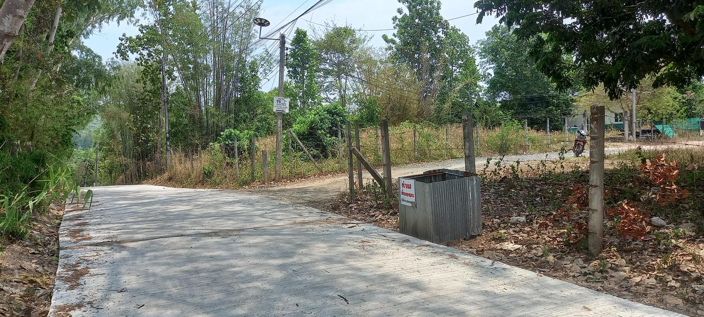 ที่ดินจังหวัดเชียงใหม่ 7