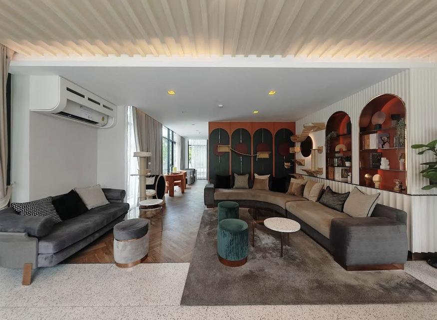 🔥 เจ้าของขายเอง 🏡 ขายคอนโด Pet Friendly ใกล้ BTS แบริ่ง เดินเพียง 6 นาที 📍 Brixton Pet & Play Sukhumvit 107 1