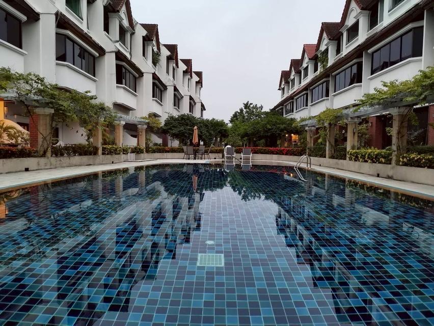 ให้เช่าทาวน์โฮม 5 ชั้น ระดับพรีเมี่ยม โครงการ Lotus Point (เอกมัย 10 แยก 4) บ้านสวย บรรยากาศดี (N.2177) 13