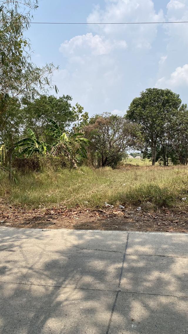 ขายที่ดินถมแล้ว 200 ตารางวา จังหวัดนครนายก 1