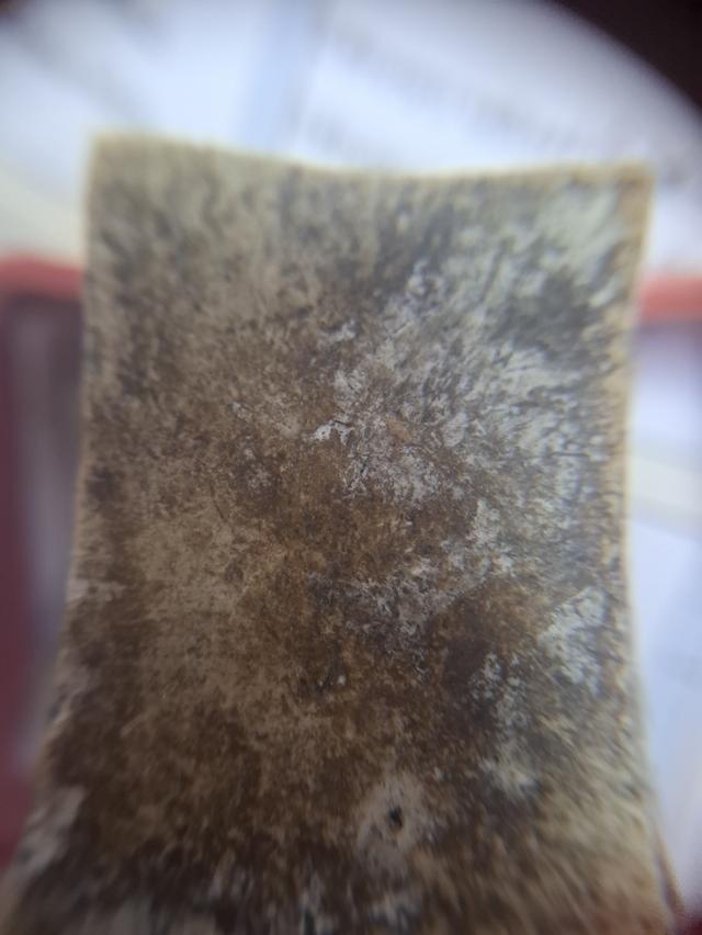 พระสมเด็จ9ชั้นวัดเกจไชโย 8