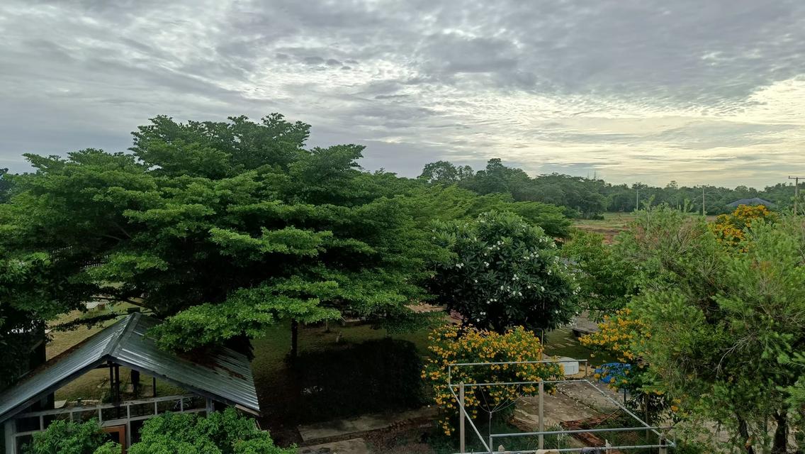 บ้านและที่ดิน3.1ไร่ ราชบุรี 4