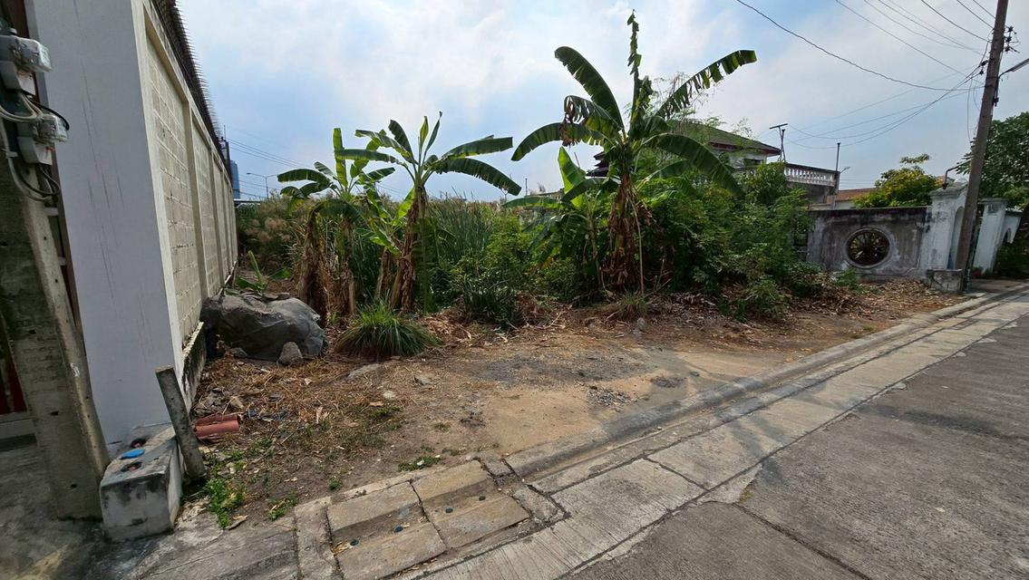 ขายด่วนที่ดินถนนเลี่ยงเมืองปากเกร็ด 96 ตรว ติดถนนสาธารณะปากเกร็ด นนทบุรี 2