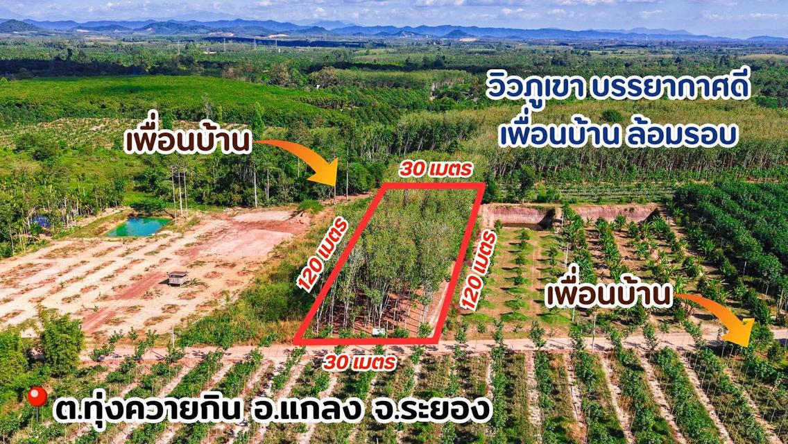 ที่ดิน สวนยางพารา ทำเลดี วิวภูเขา อ.แกลง จ.ระยอง 2
