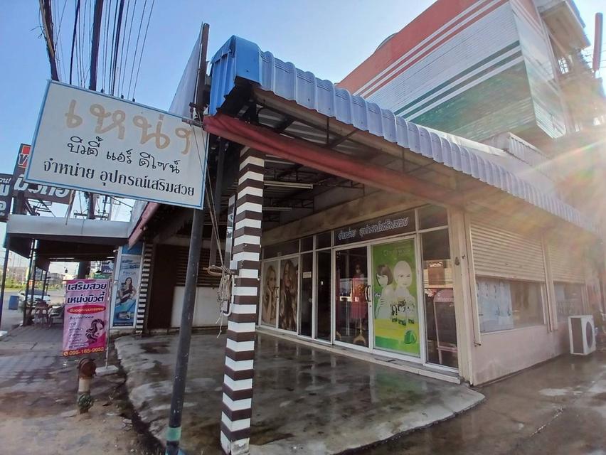 บ้านตึกและอาคารพาณิชย์ 1