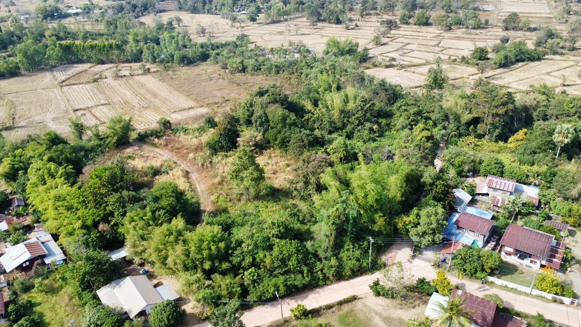 ขายด่วน ที่ดินเปล่า ติดถนนคอนกรีต อยู่ในชุมชน อุดรธานี (LSS-674) 2