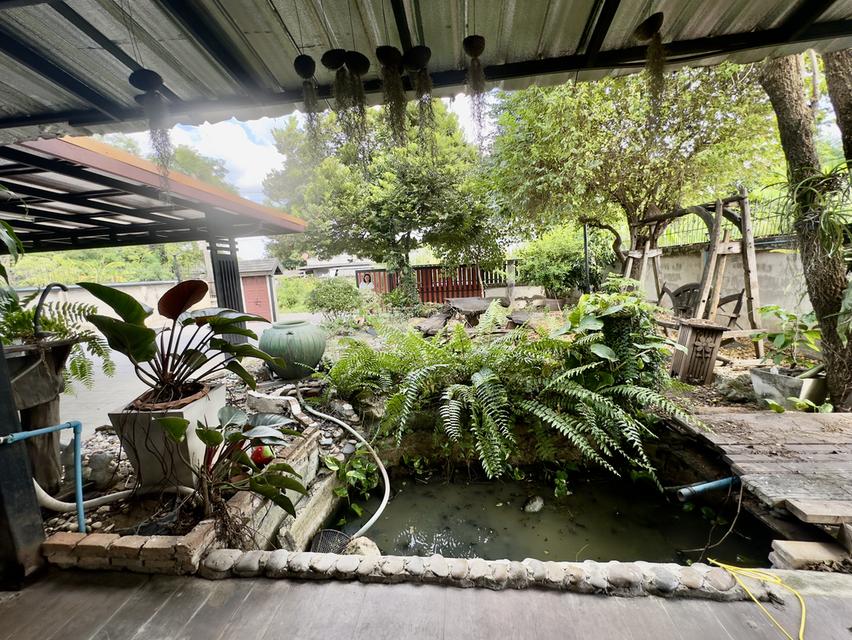 บ้านเดี่ยว ปลูกสร้างเอง พื้นที่ 98 ตรว. ซอยคู้บอน 25 แยก 2 แขวงรามอินทรา เขตคันนายาว กรุงเทพมหานคร 13