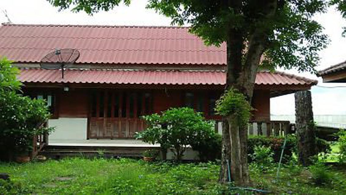 รูป Sale Large Land plus nice House Suburban of Kanchaburi with  4