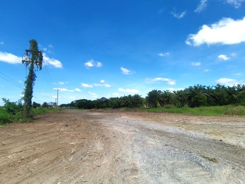 ขาย ที่ดิน ME122 ทำเลดี แปลงใหญ่ ใกล้อมตะนคร มาบโป่ง พานทอง ชลบุรี . 243 ไร่ 3 งาน 19.05 ตรว ติดถนนมาบโป่ง 8 ถนนศุขประยู 4