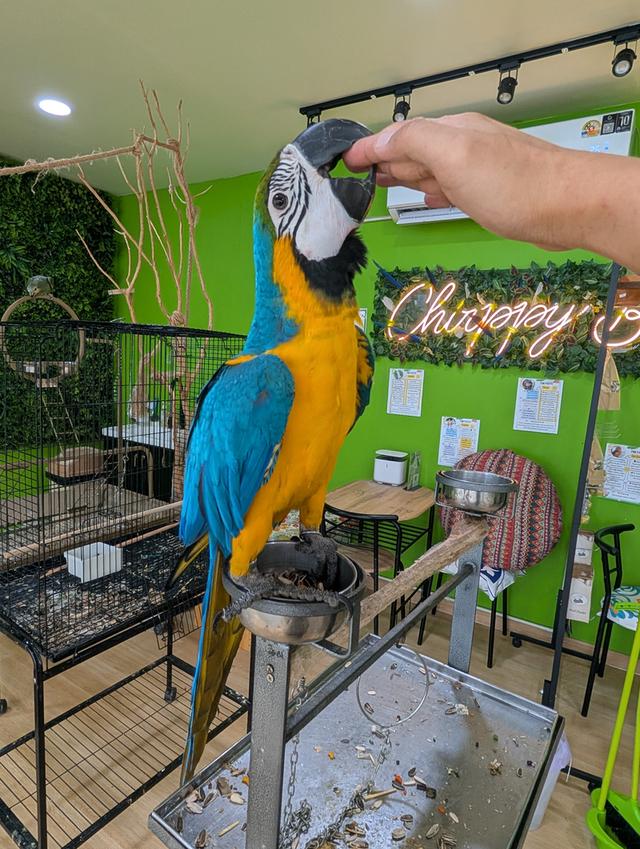 Shop for Leasing at Chatuchak รูปที่ 3