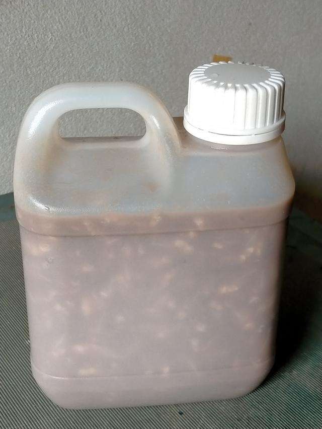 ปลาจ่อมชิวแก้วผสมกุ้ง