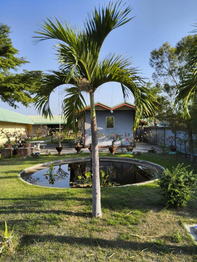 ขายรีสอร์ท ขนาดกลาง จังหวัดมหาสารคาม ห่างจากตัวเมืองประมาณ 5กม. 10