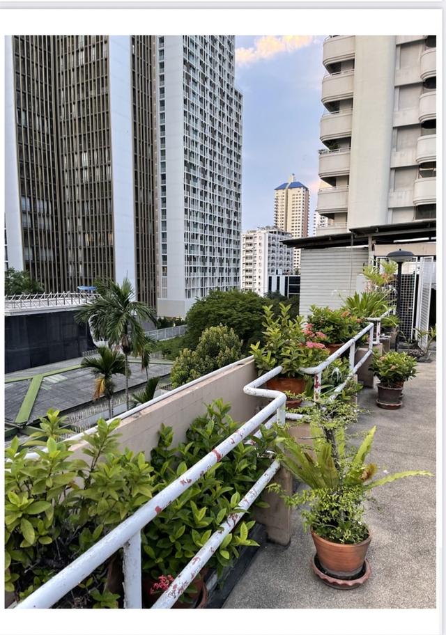 Sale of land and buildings  269 sq.wah this plot is very beautiful Sukhumvit 11-15 closed road in the soi 4