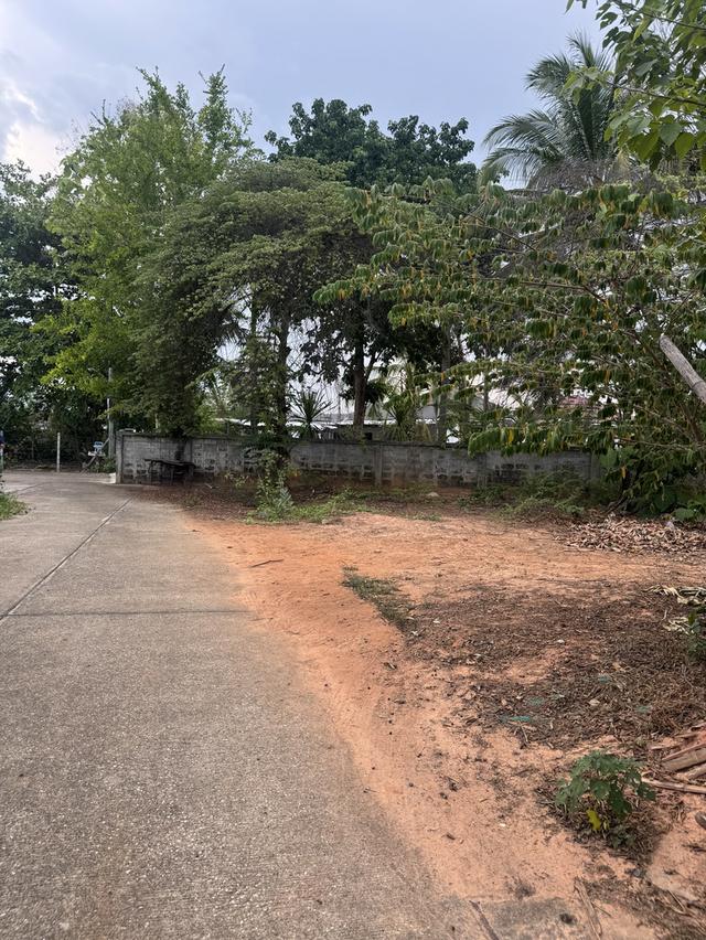 ที่ดิน เมืองเล็น อำเภอสันทราย เชียงใหม่ 9