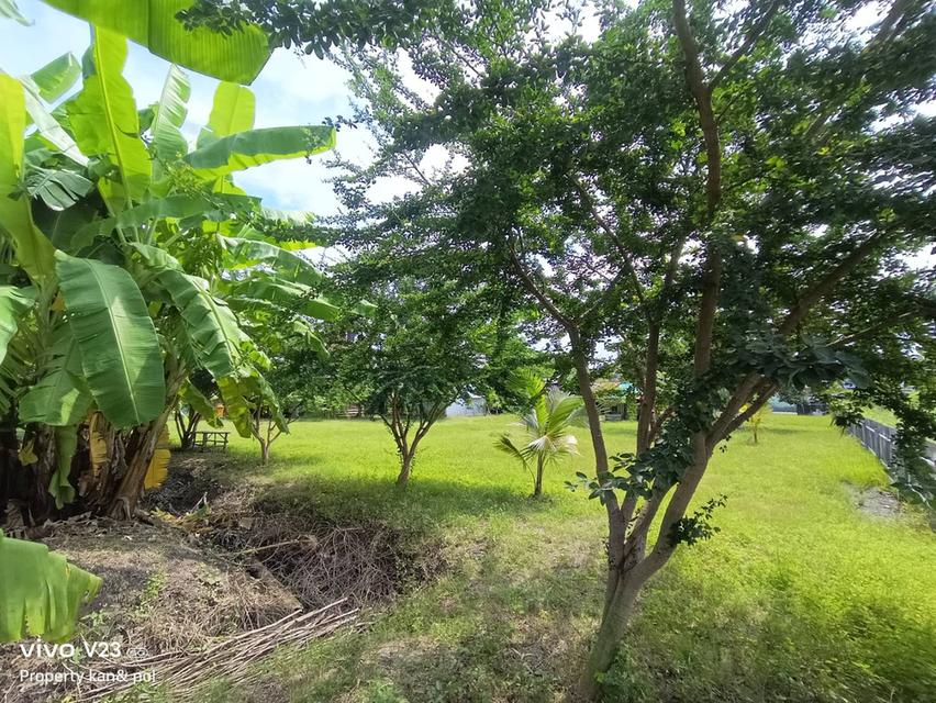 ขายที่ดินติดคลองบางระมาดสาย 2 เนื้อที่ 719.4 ตรว. พุทธมณฑลสาย 2 ซ.21 2