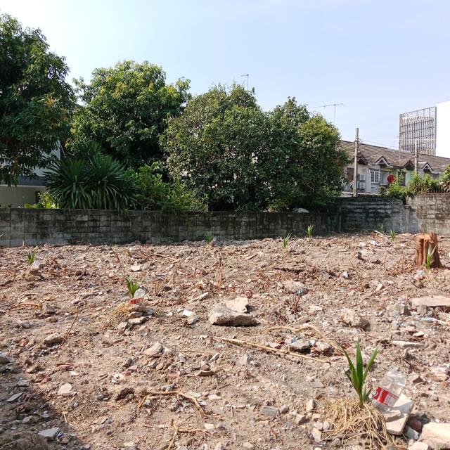 ขายที่ดิน 107 ตรว. หมู่บ้านเมืองทอง ซอยแจ้งวัฒนะ-ปากเกร็ด 29 ห่างถนนแจ้งวัฒนะเพียง 250 เมตร 5
