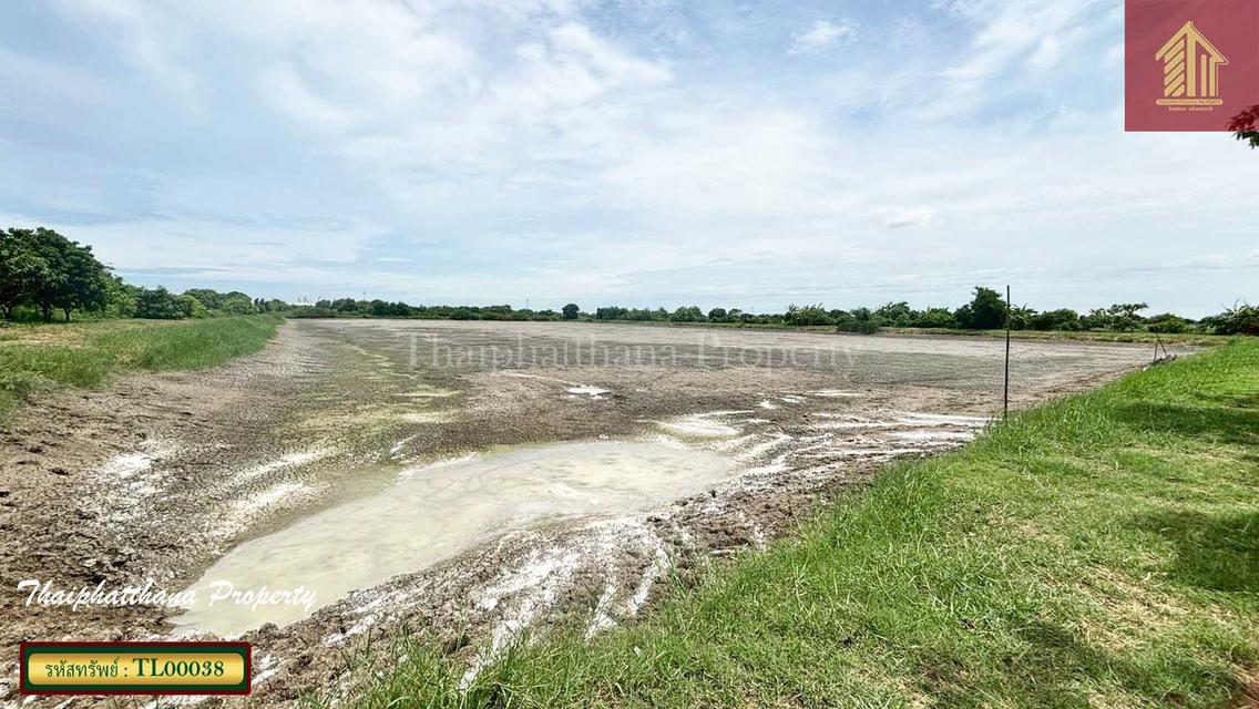ที่ดินเปล่า คลองเก้า ซอยธนสิทธิ์ บางปลา สมุทรปราการ 1