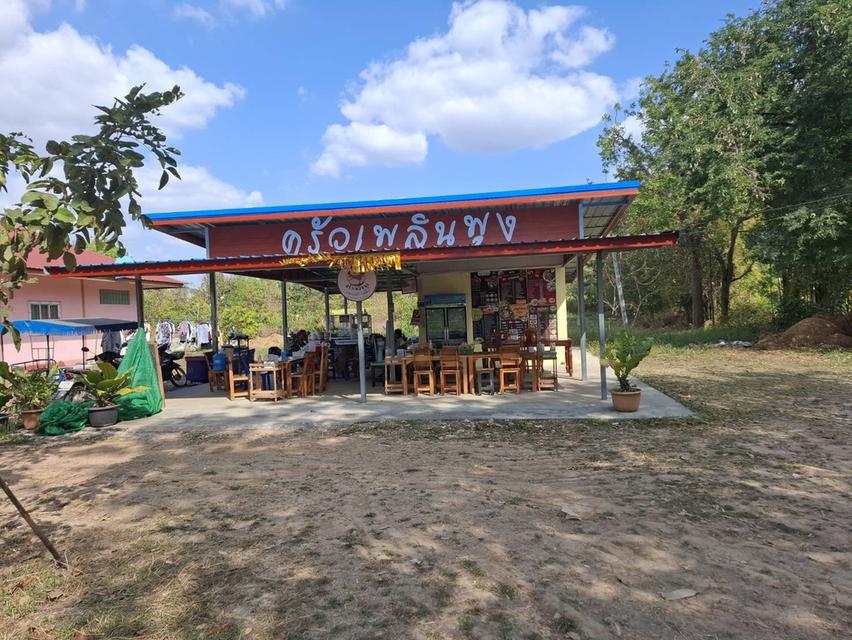 ที่ดินพร้อมอสังหา 9 ไร่ 1 งาน 8 ตารางวา 2