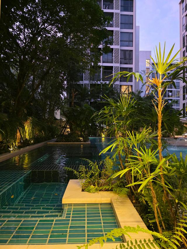 ขาย/ให้เช่า คอนโด Chambers On Nut Station : Pool Access Rare item ห้องเดียวของโครงการ เงียบสงบ BTS อ่อนนุช 300ม. 20