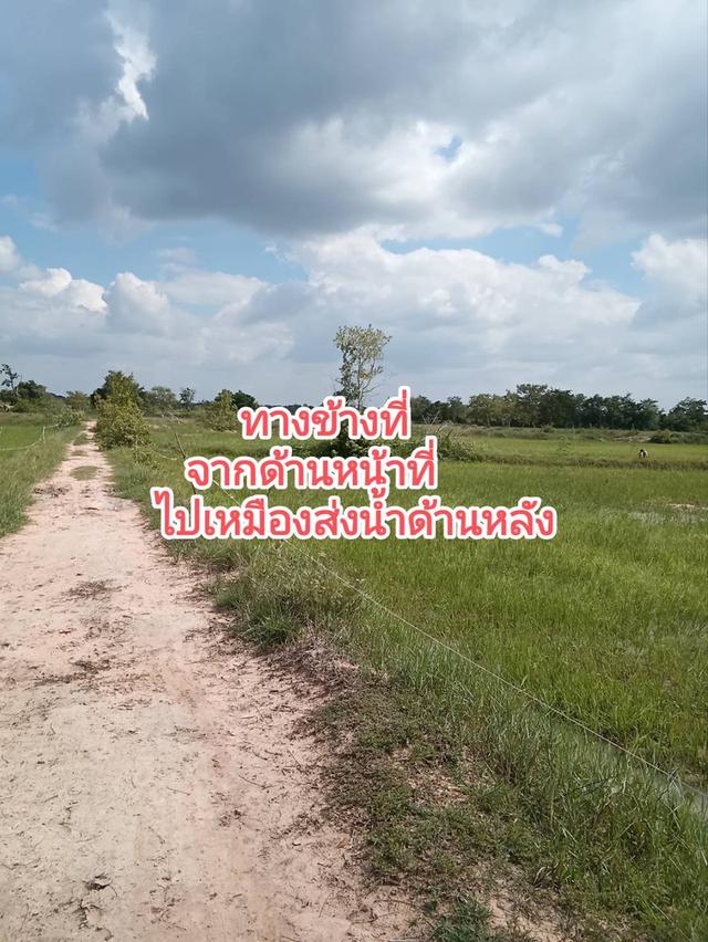 ที่นาสวย**เจ้าของขายเอง**ด้านหน้าติดถนน*ด้านหลังติดเหมืองส่งน้ำ*มีถนนเลียบข้างที่จากด้านหน้าที่ไปหลังที่*เข้าออกได้หลายทาง*2 กม.จากถนน2068 ไร่ละ82,000 3