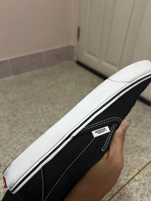 Vans 5