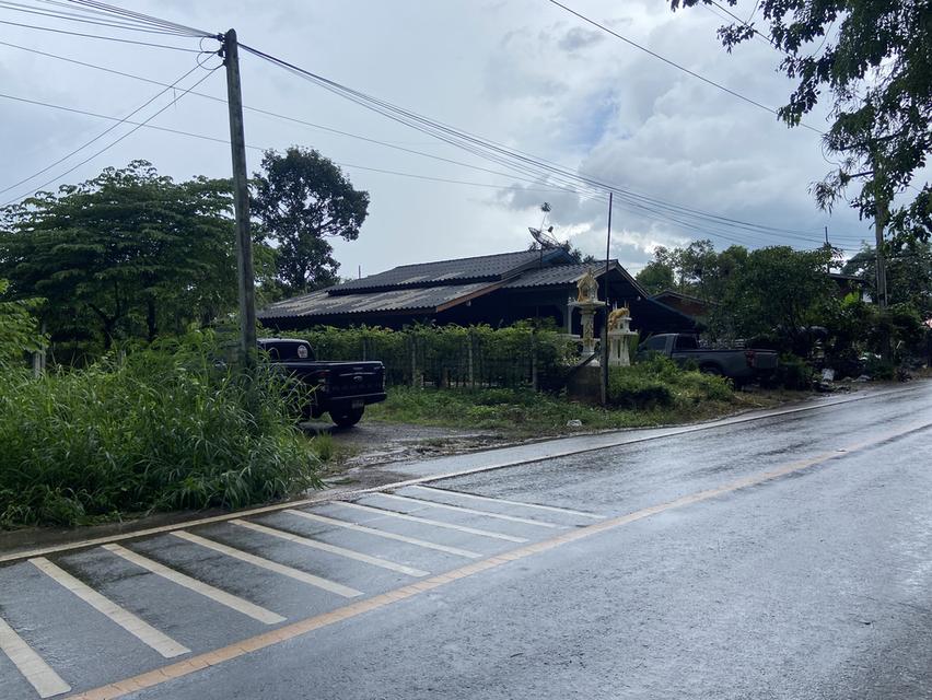 บ้านพร้อมที่ดิน203ตรว. 7