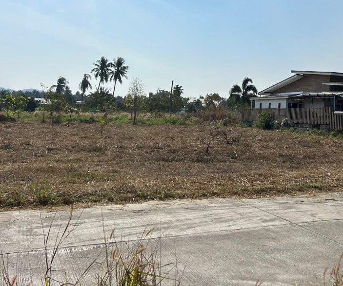 ขายที่ดินโป่ง 200 ตรว. ถมแล้วติดถนนคอนกรีต ใกล้อ่างเก็บน้ำมาบประชัน-5กม. อ.บางละมุง ชลบุรี รูปย่อยที่ 4