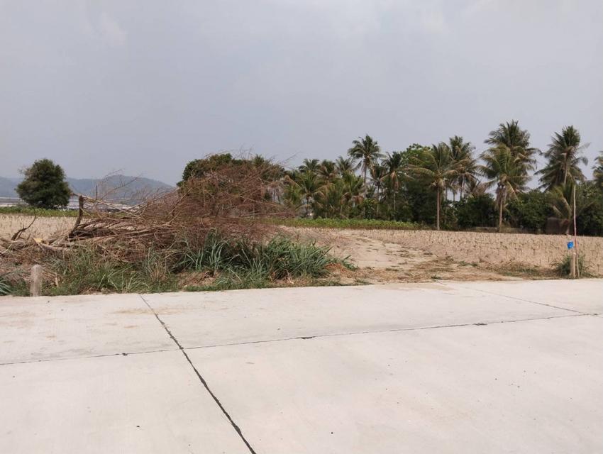 ขาย ที่ดิน 28-0-17 ไร่ ติดนิคมWHA ศรีราชา ชลบุรี เหมาะสำหรับสร้างโรงงานอุตสาหกรรม 3