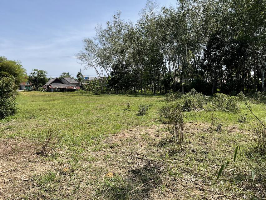 1 ไร่ 2 งาน 11 ตารางวา หน้าติดถนนสายหลัก หลังติดคลอง (บ้านหาร) 6