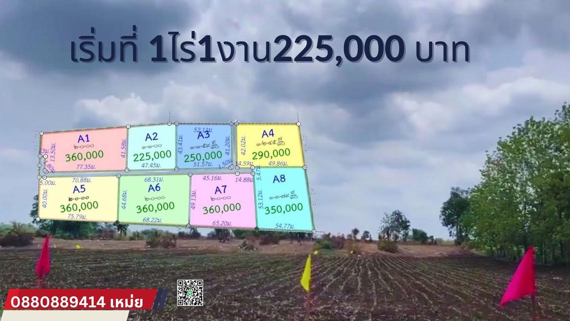 ที่ดินหนองม่วง จ. ลพบุรี