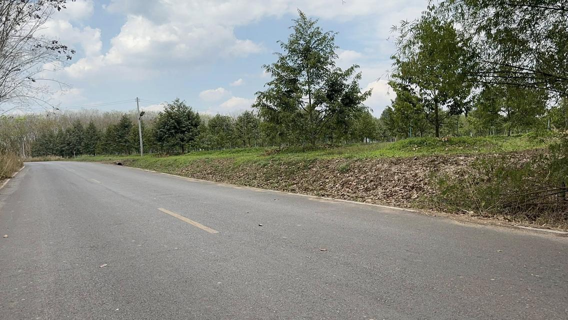 สวนทุเรียนจังหวัดระยอง เนื้อที่ 8 ไร่ 3 งาน 9 ตรว ราคาไร่ละ1,000,000 บาท ต.ชำฆ้อ อ.เขาชะเมา จ.ระยอง เขตติดต่อ อ.แกลง จังหวัดระยอง พื้นที่สวยทำเลดีมาก 6