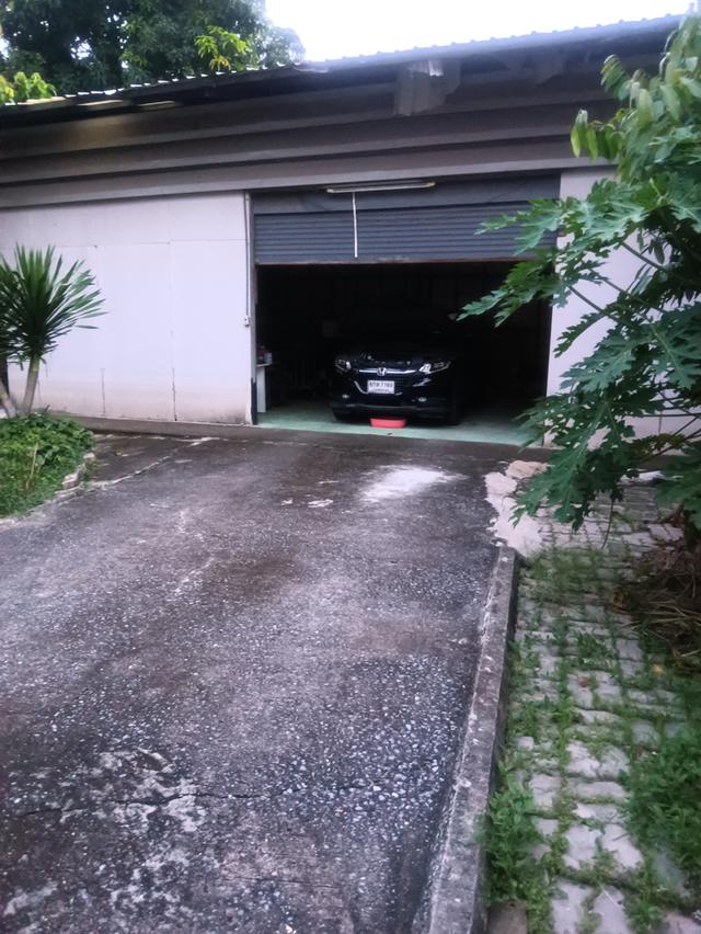 ที่ดินเปล่า